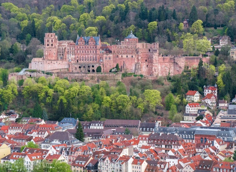A historic castle on a hill with surrounding residential buildings. 3