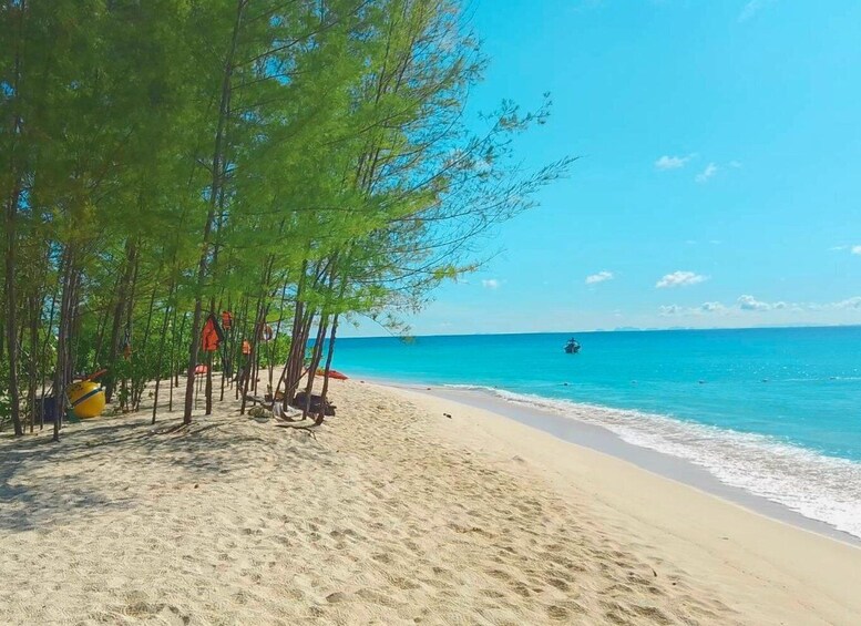 A sandy beach with clear blue water, a few trees, and a boat in the distance. 3