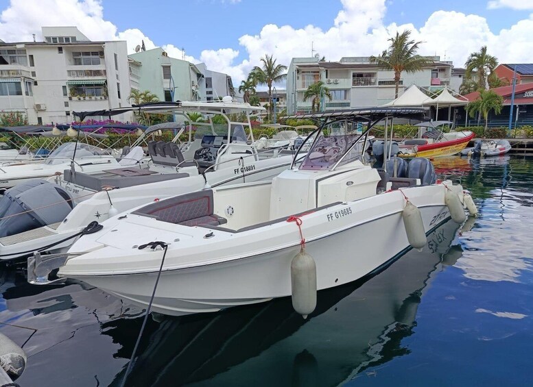 A marina with several boats docked, palm trees, and buildings in the background. 1