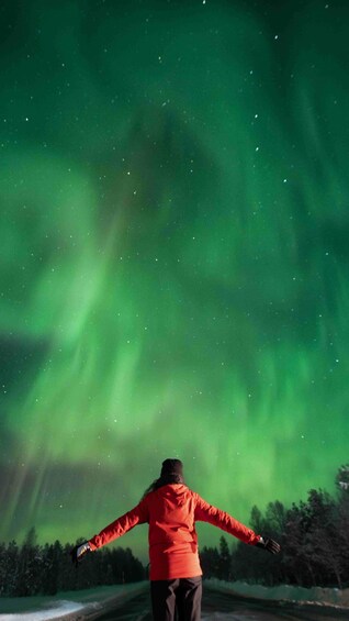A person in a red jacket standing with arms outstretched under the aurora borealis. 1