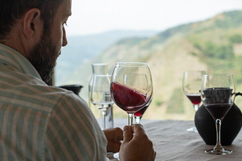 A person holding a wine glass with a vineyard in the background. 4