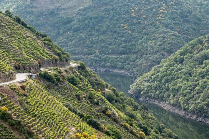 Terraced vineyards along a river valley. 5