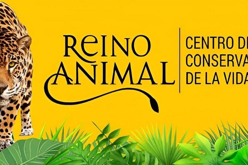 Teotihuacan and SAFARI with buffet breakfast included, no traps 3