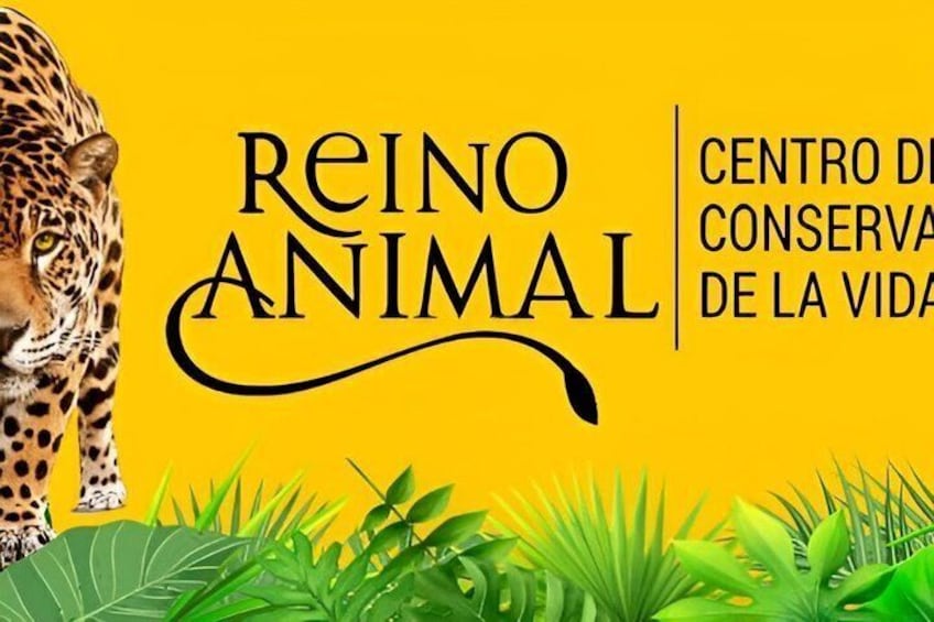 A leopard, text 'REINO ANIMAL,' and 'CENTRO DE CONSERVA DE LA VIDA' on a yellow background. 2