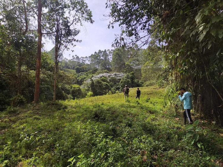 Barbas Bremen Cloud Forest Hiking Tour – Coffee Region 3