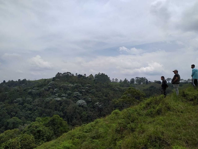 Barbas Bremen Cloud Forest Hiking Tour – Coffee Region 5