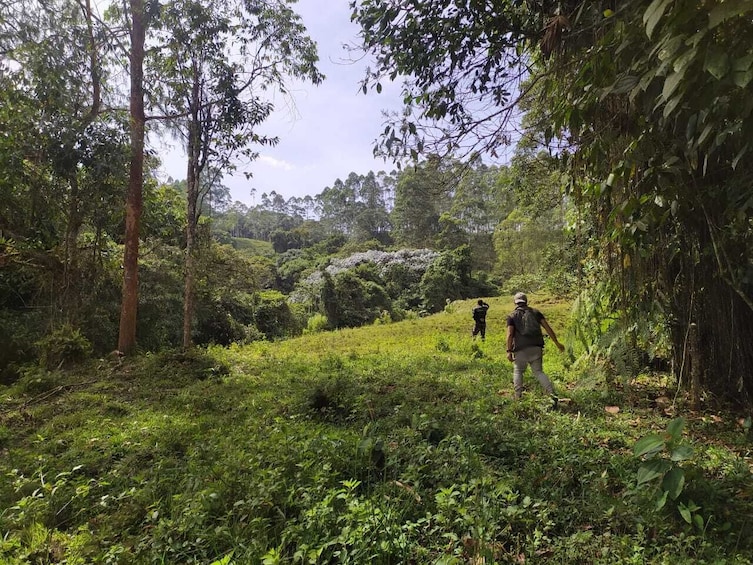 Barbas Bremen Cloud Forest Hiking Tour – Coffee Region 2