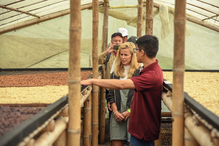 Coffee Farm Tour with Jeep Ride and Tasting from Salento 3