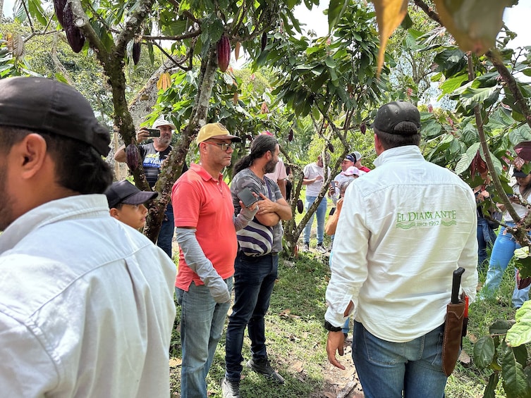 Quindío Chocolate Tour with Tastings & Guide 4