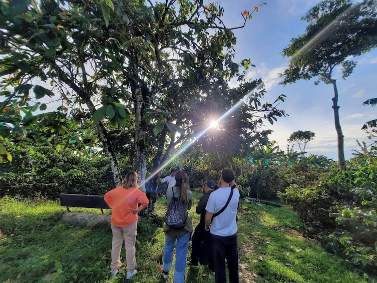 Quindío Botanical Garden & Butterfly Park Tour 5