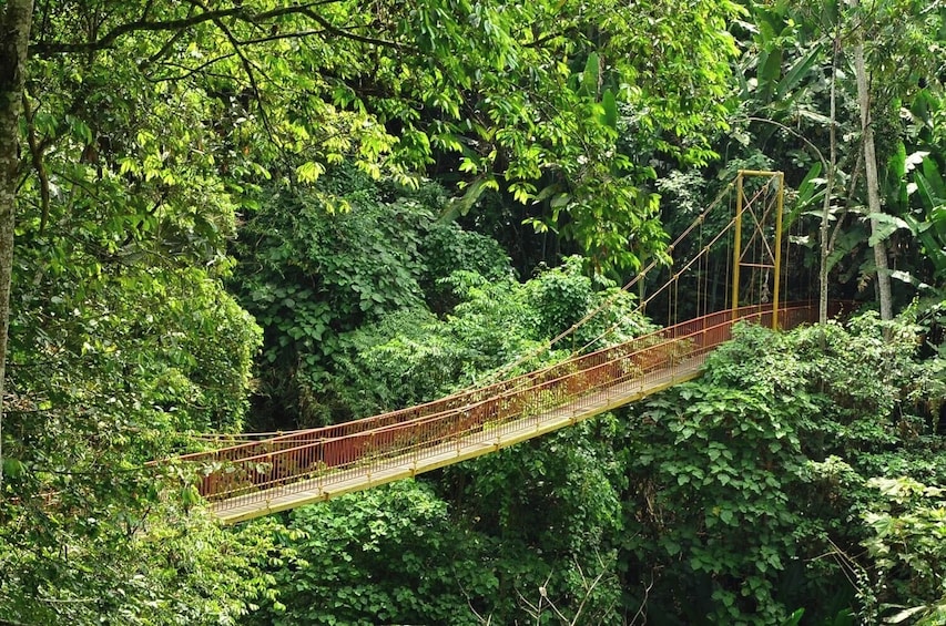 Quindío Botanical Garden & Butterfly Park Tour 2