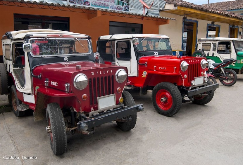 Two vintage Willys Jeep vehicles parked in front of a building with a sign that reads 'CORDOBA.' 5