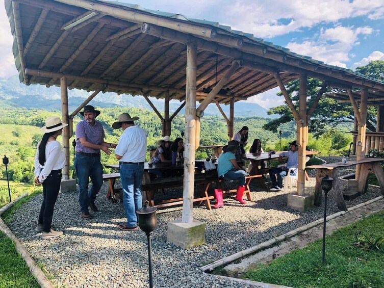 Armenia Coffee Region Horseback Riding Tour with Snack  3