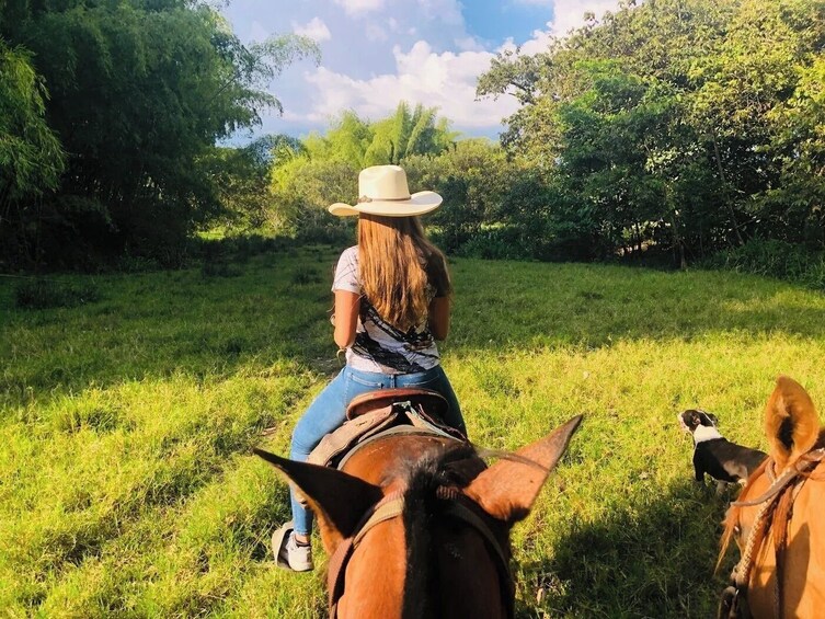Une personne à cheval dans un champ herbeux, avec des arbres en arrière-plan. 1