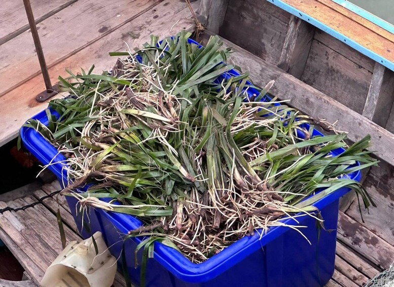 A blue plastic bin filled with green leaves and stems, placed on a wooden surface. 3