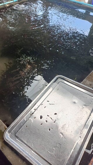 A wet surface with a metal tray and a blue pipe. 2