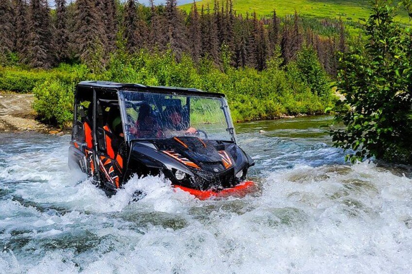 A vehicle navigating a river with rapids, surrounded by greenery and trees. 5
