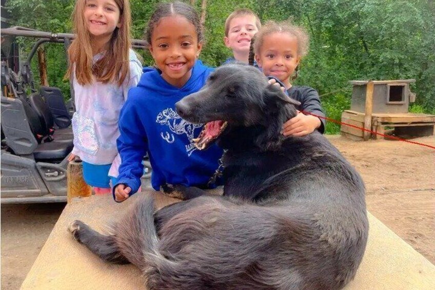 A large black dog lying on a table with children around it. 2