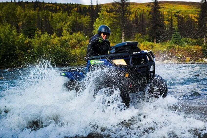 Midnight Sun ATV and Sunrise Dog Sled Adventure in Willow Alaska 4