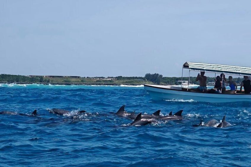 A boat with people on the water, dolphins swimming nearby. 4