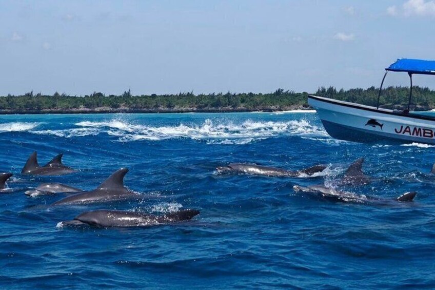 A boat with dolphins swimming in the water. 2