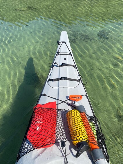 Picture 1 for Activity Lake Bohinj: Half-Day Guided Kayak Tour with Picnic and Swim 2