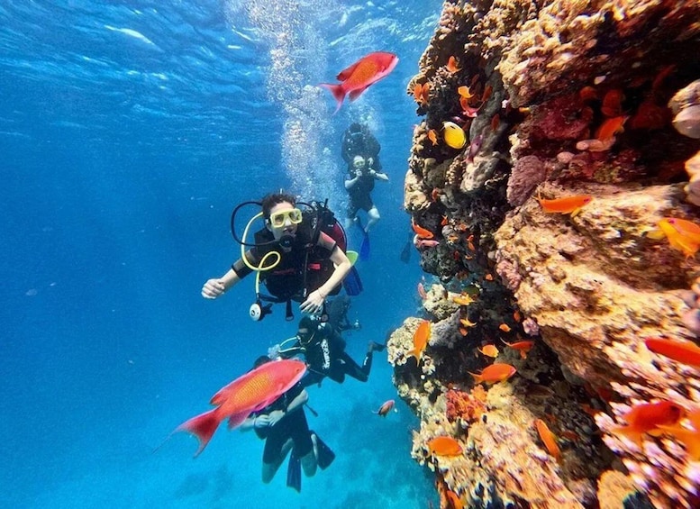 A diver with a fish, surrounded by colorful marine life and coral reefs. 2