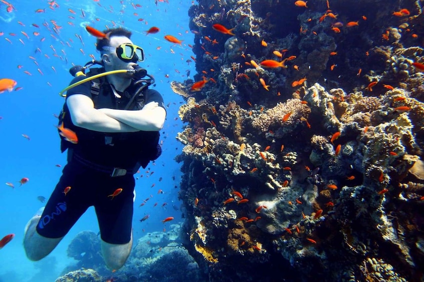 A diver with a scuba mask and snorkel, surrounded by vibrant coral and orange fish. 3