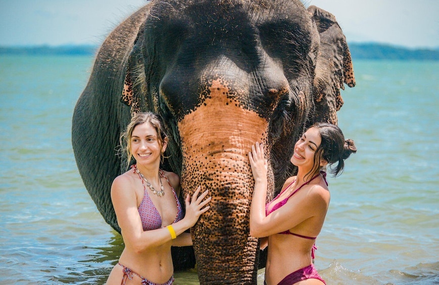 Two people in water with an elephant. 3