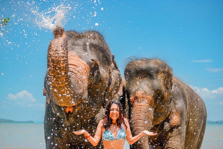 A person with elephants in a natural setting. 4