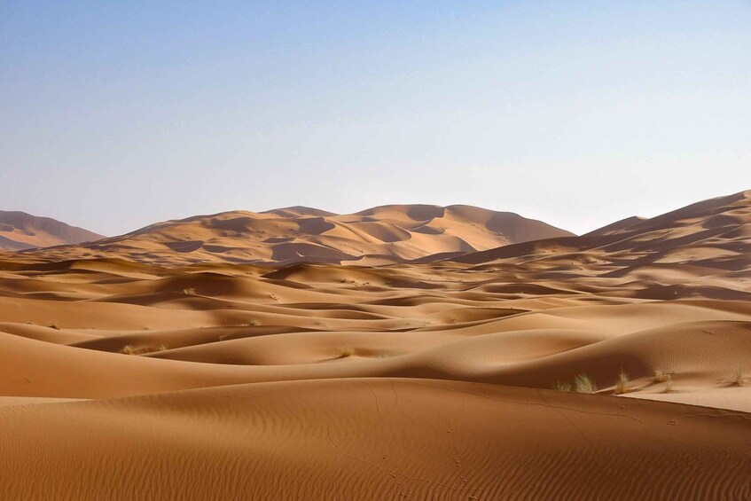 Undulating sand dunes with sparse vegetation. 4