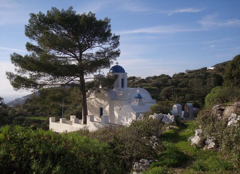 A white church with blue domes, surrounded by greenery and rocks. 2