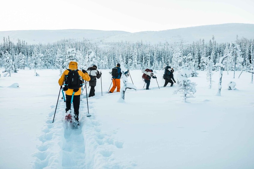 A group of people cross-country skiing in a snowy forest. 2