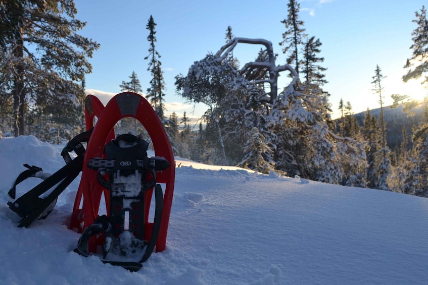A snowmobile with red outriggers and a black sled in a snowy forest with snow-covered trees and a clear sky. 3