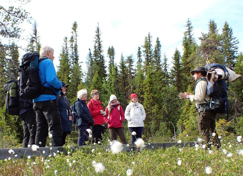 A group of hikers in a forested area with white flowers in the foreground. 5