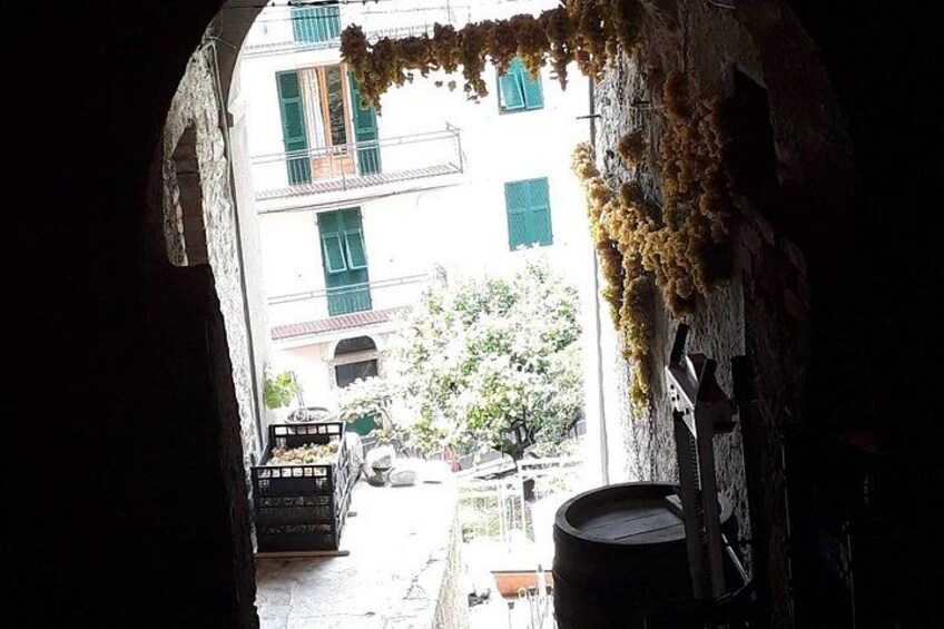Cinque Terre in the Morning with Manarola Vernazza and Wine 2