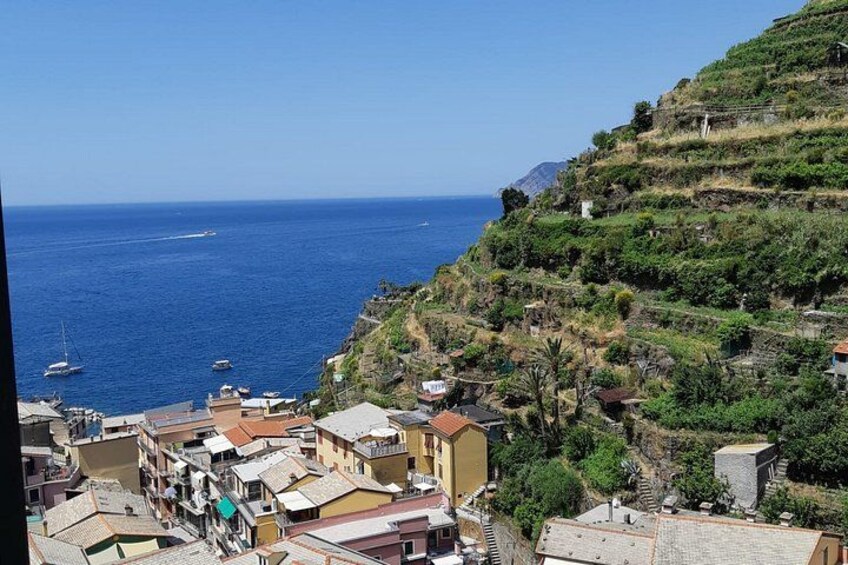 Cinque Terre in the Morning with Manarola Vernazza and Wine 5