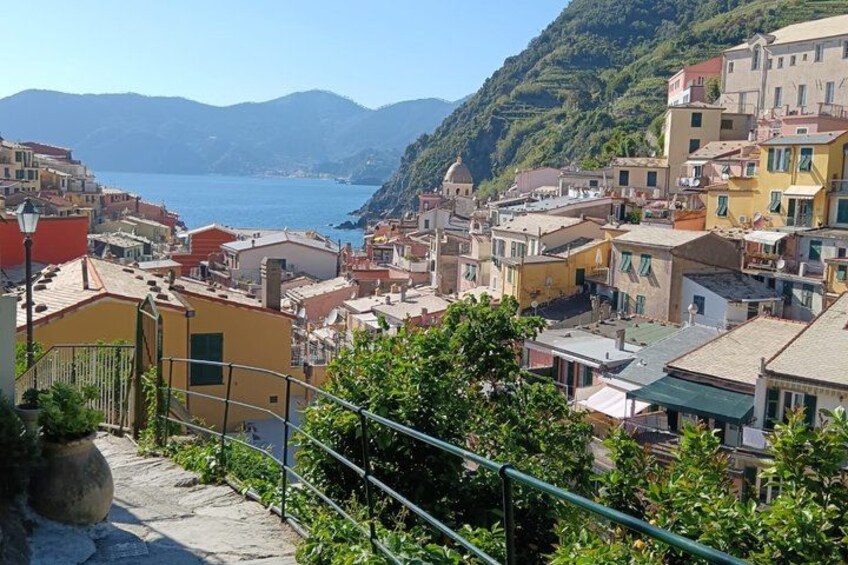 Cinque Terre in the Morning with Manarola Vernazza and Wine 2