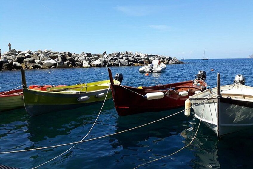 Cinque Terre in the Morning with Manarola Vernazza and Wine 2