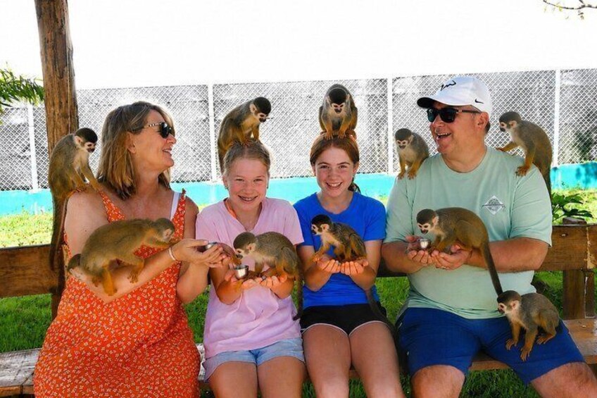 A group of people interacting with monkeys in an outdoor setting. 1
