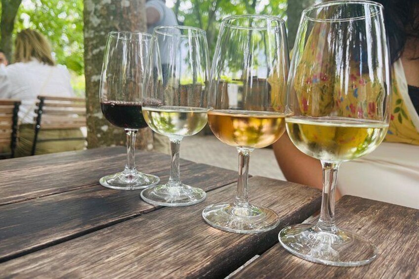 Franschhoek Wine Tram Hop-On Hop-Off Full-Day Wine Experience. 3
