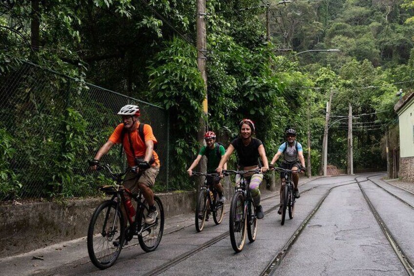 Three cyclists on a paved road with greenery on both sides. 2