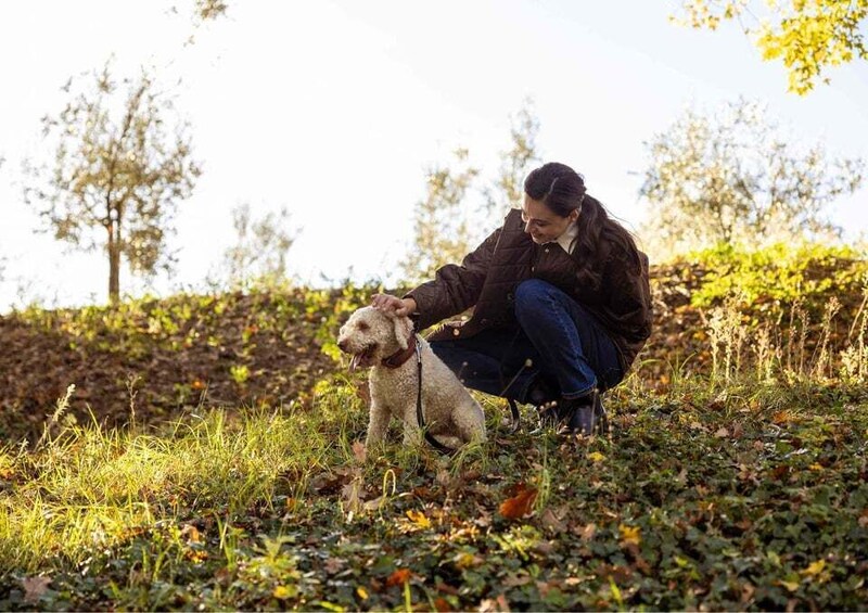 A person crouching on a grassy field with a dog. 1