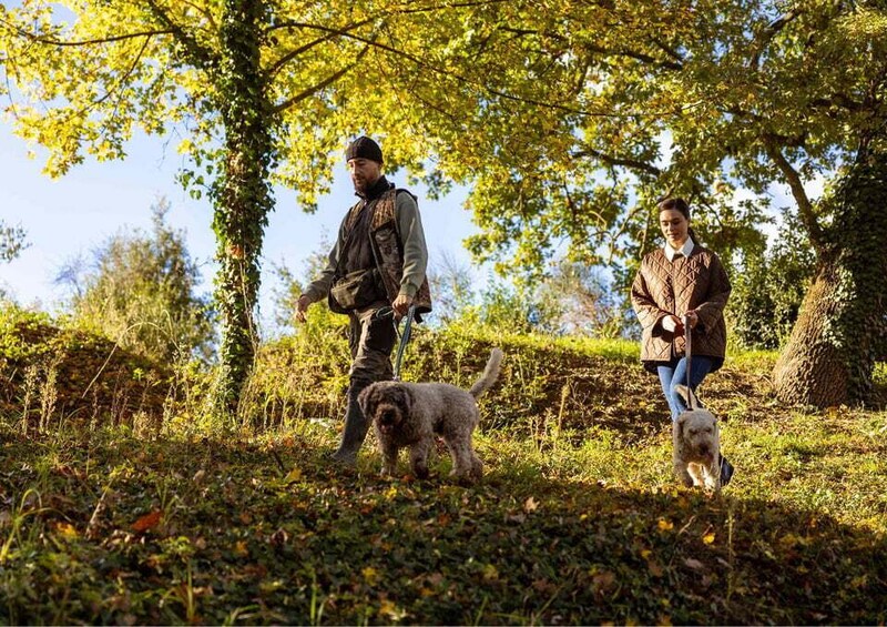Two people walking dogs in a wooded area with trees and grass. 3