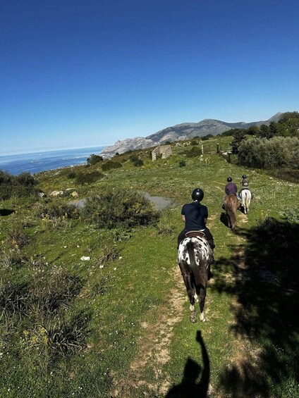 Three people horseback riding on a grassy trail with a view of the sea and mountains in the background. 4