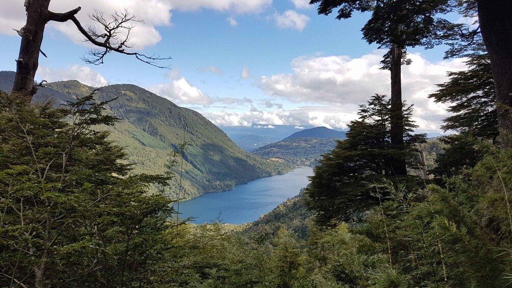 A mountainous landscape with a lake and dense forest. 1
