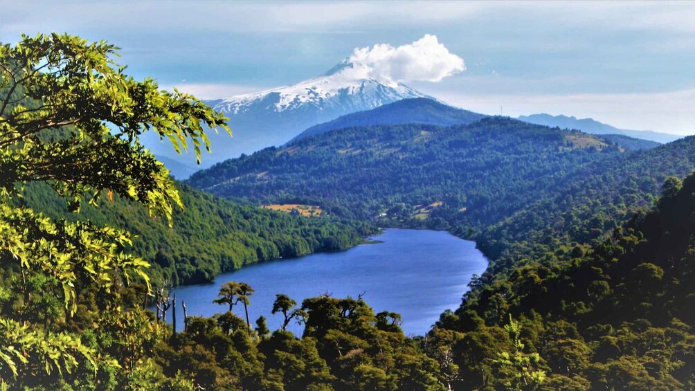 A lake surrounded by forested hills and a snow-capped mountain in the background. 3