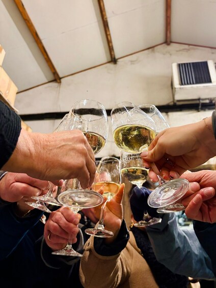 A group of people toasting with wine glasses in a room with a white ceiling and air conditioning unit. 1