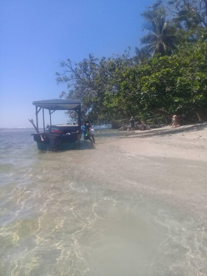A clear beach with a Yamaha boat docked near the shore, palm trees, and a sandy beach. 4