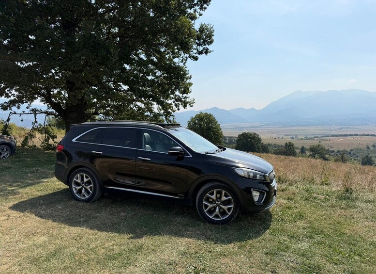 A black SUV parked on a grassy field with a large tree and a mountainous landscape in the background. 2